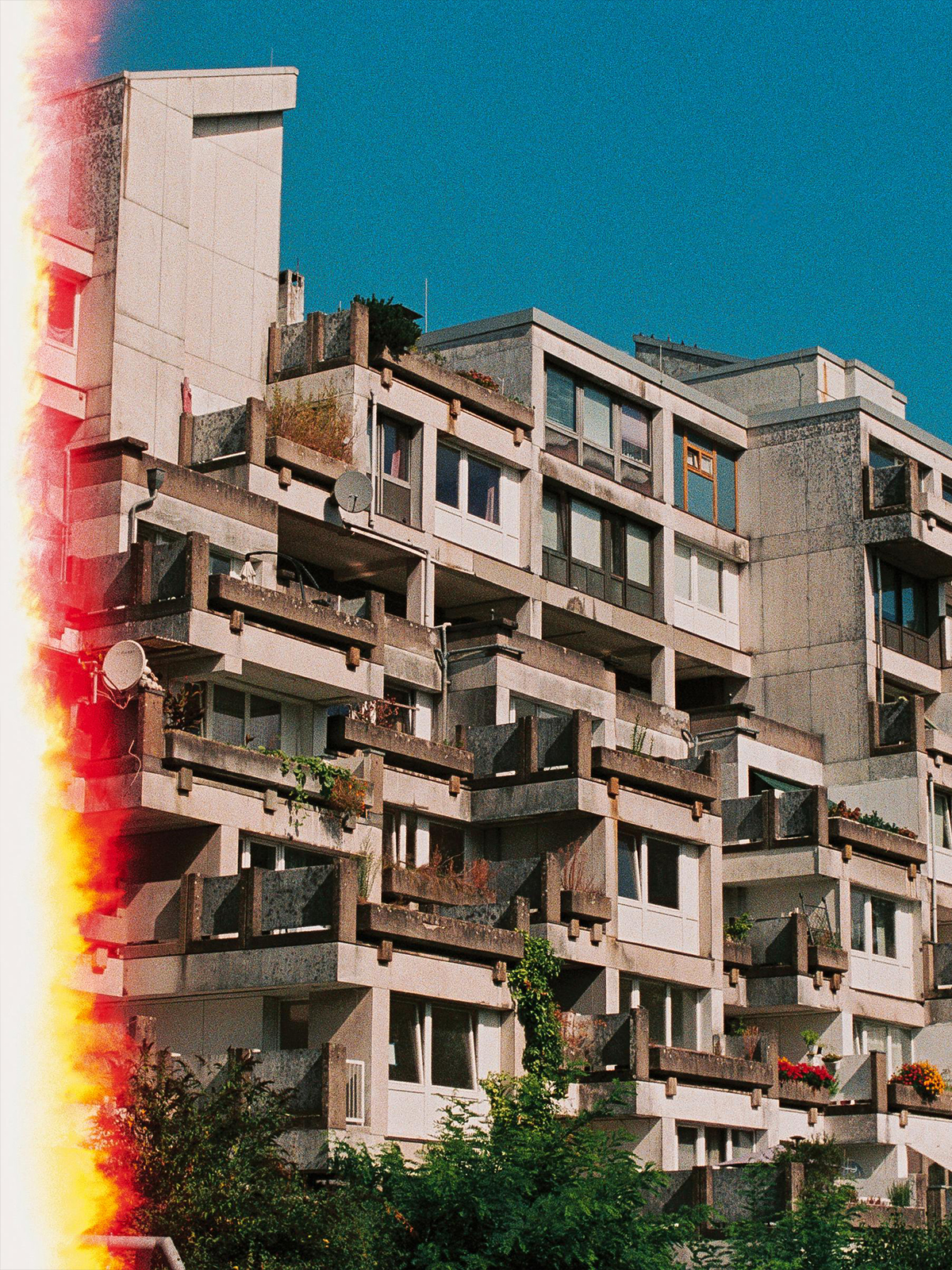 Image contain (à gauche)