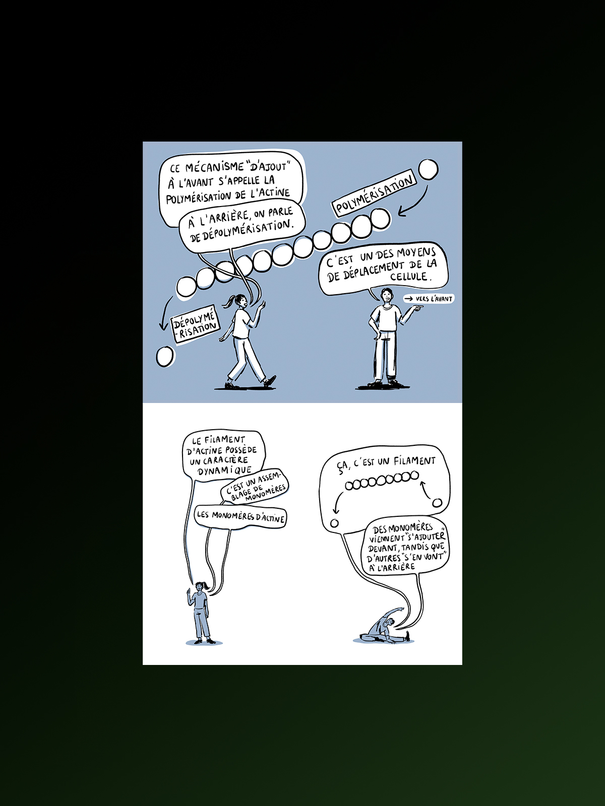 Image contain (à gauche)