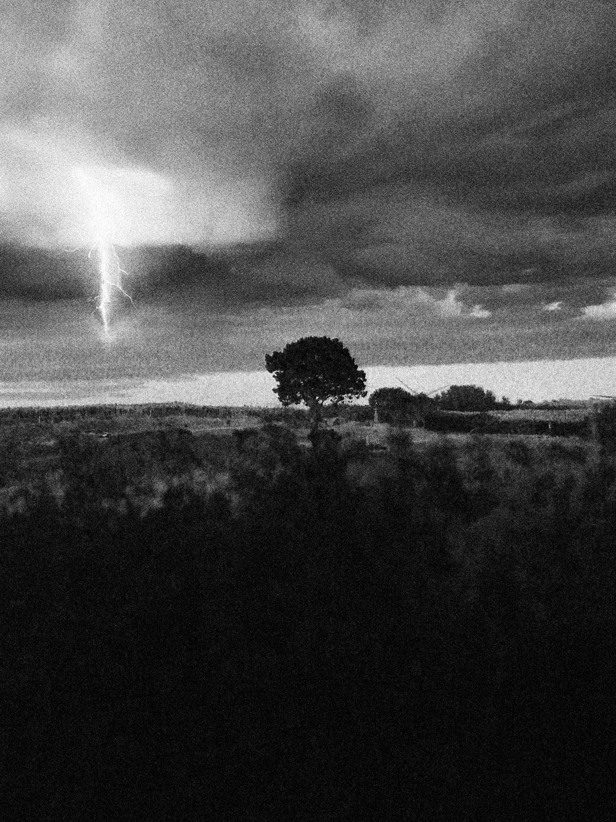 Image contain (à gauche)