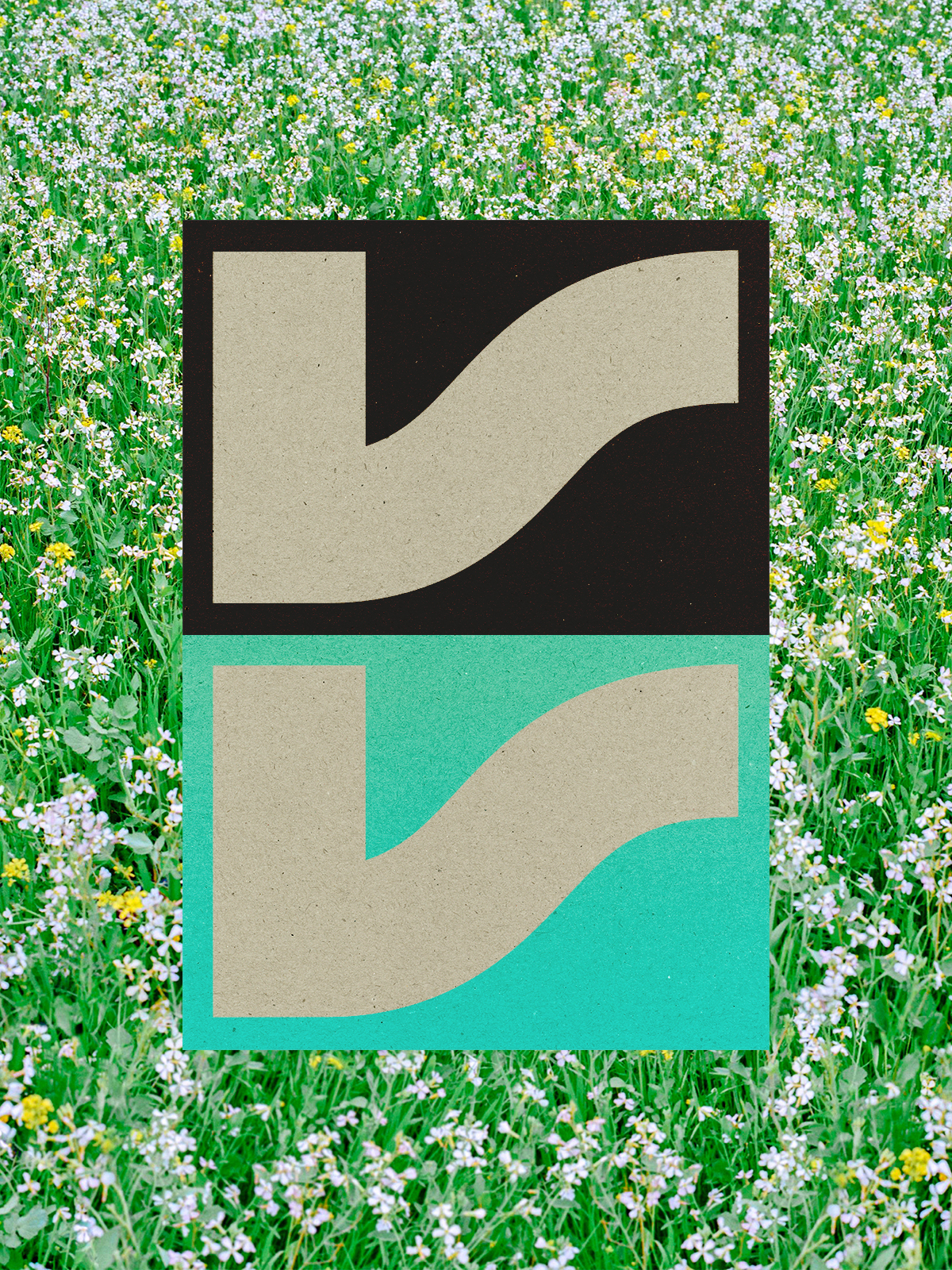 Image contain (à gauche)